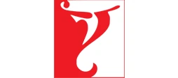Y Shapes logo